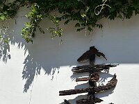 2025 Pfalz - 86 von 145