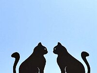 2025 Pfalz - 92 von 145