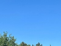 2025 Pfalz - 93 von 145