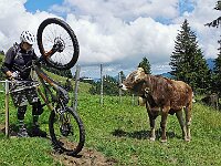 2021-MTB-Tag 06-17 : 2021-MTB Allgäu