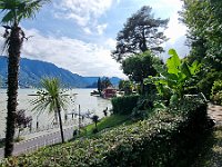 20240707 165701 : Comersee, MTB, Manfred, Transalp