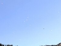 AlpenX-2025 Tag01-12 : AlpenX2025 Allgäu, MTB, Transalp