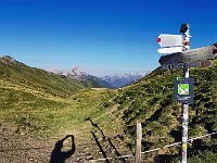 Hochalppass : AlpenX-2026 Allgäu, MTB
