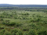 2004-06-17-rhön-47 : MTB, Rhön 2004