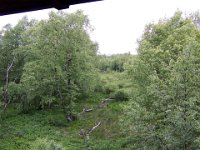 2004-06-17-rhön-51 : MTB, Rhön 2004