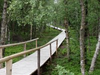 2004-06-17-rhön-52 : MTB, Rhön 2004