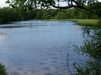 2004-06-17-rhön-58 : MTB, Rhön 2004