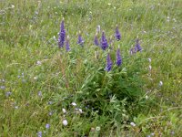 2004-06-17-rhön-67 : MTB, Rhön 2004