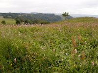 2004-06-19-rhön-50 : MTB, Rhön 2004