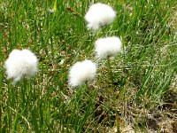 2005-06-24-allgäu-17 : Allgäu, MTB