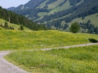 2005-06-24-allgäu-9 : Allgäu, MTB