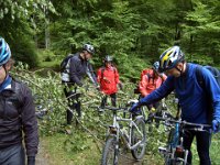 2006-05-25-trippstadt-24