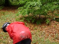 2006-05-26-trippstadt-12