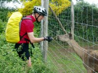 2006-05-27-trippstadt-72