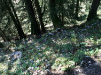 2007-09-20-allgaeu-145
