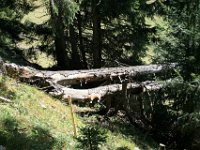 2007-09-20-allgaeu-155