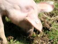 2007-09-20-allgaeu-171