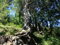 2007-09-20-allgaeu-197