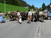 2007-09-21-allgaeu-27