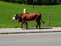 2007-09-21-allgaeu-28