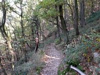 2007-10-06-13 : MTB, Rheingau, Rheinsteig