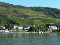 2007-10-06-25 : MTB, Rheingau, Rheinsteig