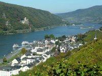 2007-10-06-3 : MTB, Rheingau, Rheinsteig