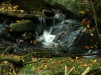 2007-10-06-30 : MTB, Rheingau, Rheinsteig