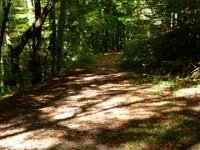 2007-10-06-32 : MTB, Rheingau, Rheinsteig