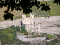 2007-10-06-39 : MTB, Rheingau, Rheinsteig