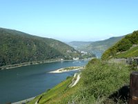 2007-10-06-8 : MTB, Rheingau, Rheinsteig