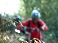 2007-10-06-9 : MTB, Rheingau, Rheinsteig