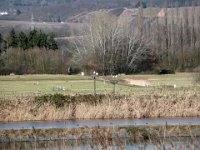 2008-02-08-rtk-6