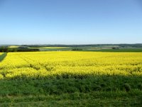 2008-05-10-hunsrueck-1