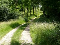 2008-06-16-notweiler-Header 73 : MTB, Nothweiler