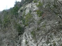 2009-03-14-rtk-15