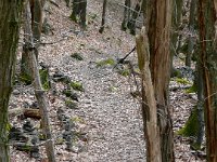 2009-03-14-rtk-25
