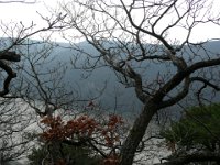 2009-03-14-rtk-31