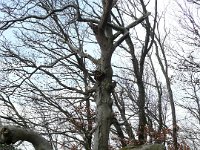 2009-03-14-rtk-32