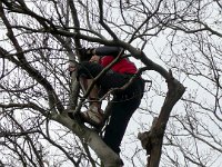 2009-03-14-rtk-34