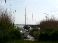 2009-05-17-ostsee-1 : Fischland, Fischland/Ostsee, MTB