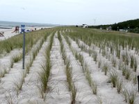 Ostsee bei Graal - Müritz : Fischland, Fischland/Ostsee, MTB