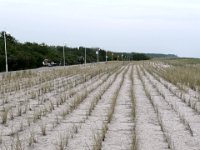 Ostsee bei Graal - Müritz : Fischland, Fischland/Ostsee, MTB