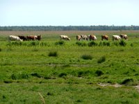 2009-05-18-ostsee-22 : Fischland, Fischland/Ostsee, MTB
