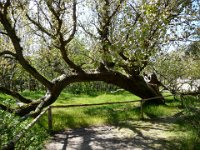 2009-05-20-ostsee-22 : Fischland, Fischland/Ostsee, MTB