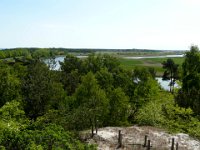 2009-05-20-ostsee-29 : Fischland, Fischland/Ostsee, MTB