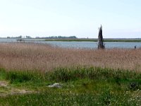 2009-05-20-ostsee-49 : Fischland, Fischland/Ostsee, MTB