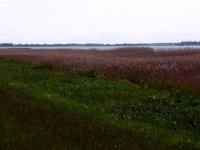 2009-05-20-ostsee-50 : Fischland, Fischland/Ostsee, MTB