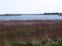 2009-05-20-ostsee-63 : Fischland, Fischland/Ostsee, MTB