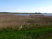 2009-05-20-ostsee-64 : Fischland, Fischland/Ostsee, MTB